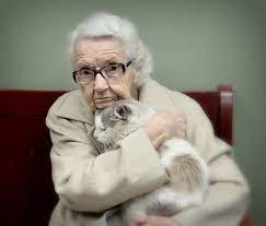 missioncatsfoundation seniors adopt cats